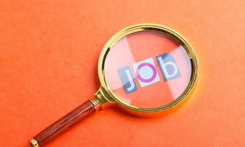 Job Consultant Service