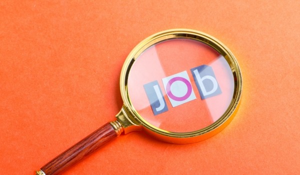 Job Consultant